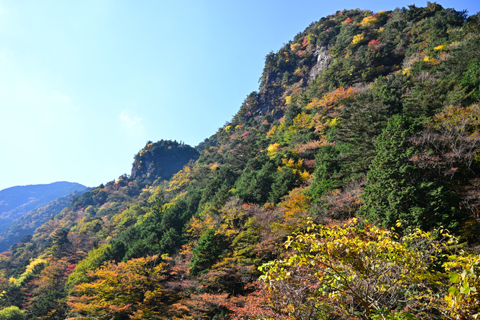ニコン Nikon Z8 with NIKKOR Z 24-70mm f/2.8 S ／ 奈良 上北山村～天